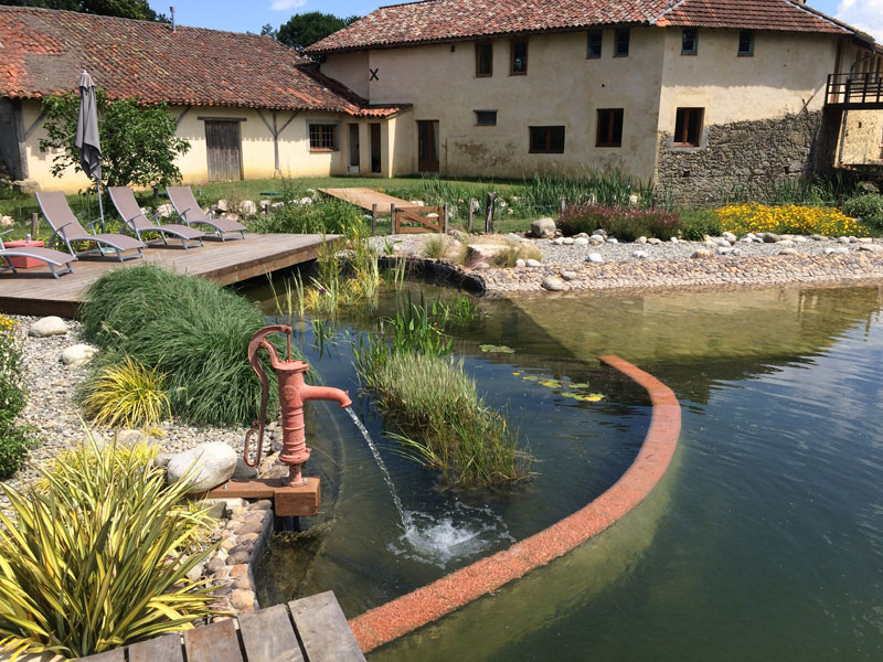 Gite with natural swimming pool