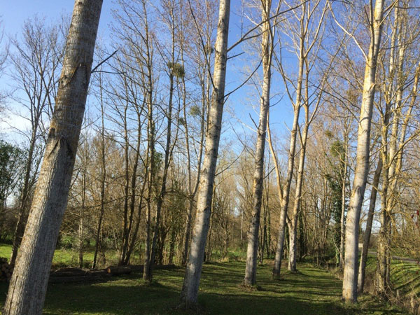 Rural gite near Toulouse