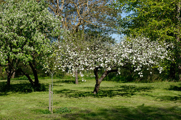 Country Gite in Haute Garonne