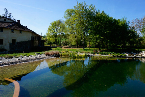 Accommodation with pool in Haute Garonne